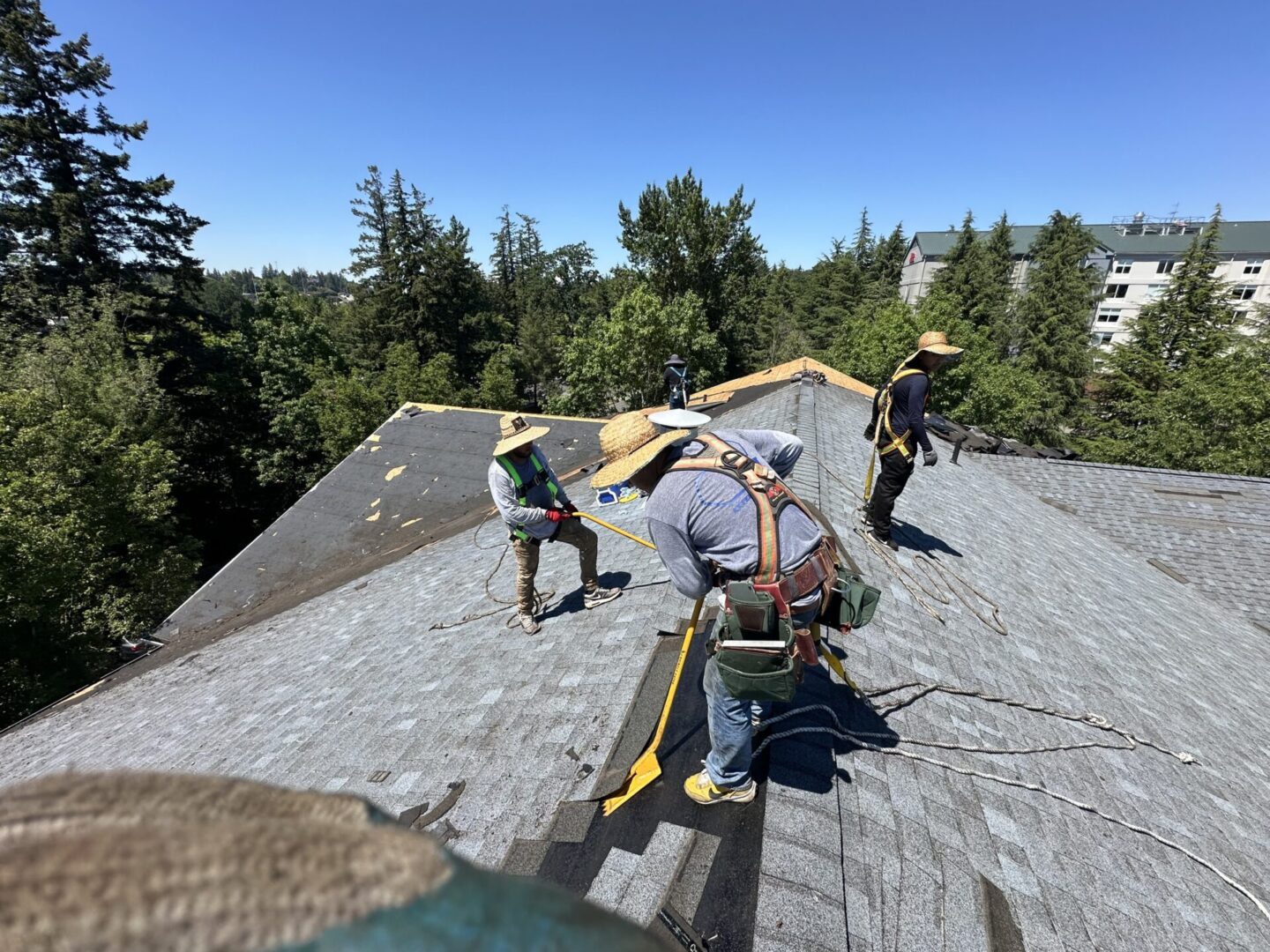 A group of people standing on top of a roof.